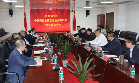 中(zhong)國(guo)有(yǒu)色金屬工(gong)業協會黨委(wei)副書記範順科(ke)一(yi)行莅臨明泰鋁業調研